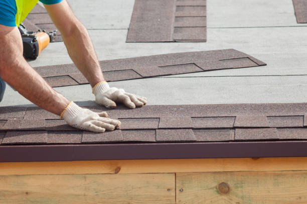 Best Roof Moss and Algae Removal  in Woodville, CA